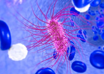 Bacteria en un entorno acuoso, rodeadas de glóbulos rojos y blancos en un fondo azul.