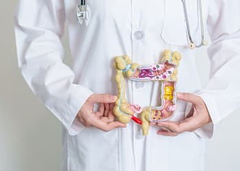 Un profesional médico sostiene un modelo anatómico del sistema digestivo, mostrando el estómago, intestinos y colon, mientras viste una bata blanca y tiene un estetoscopio alrededor del cuello.