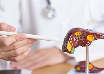 Una mano sostiene un puntero señalando un modelo tridimensional del hígado, que muestra detalles coloridos de su anatomía, en un entorno de consultorio médico.