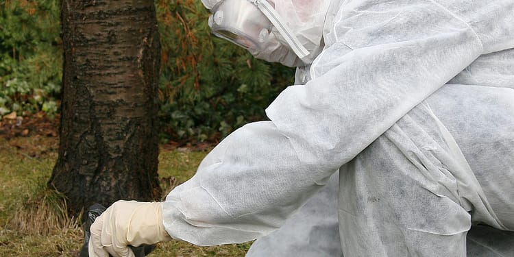 Person in protective suit collecting garbage with gloves in a natural environment.