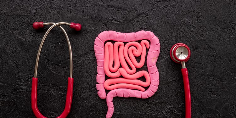 Un modelo de intestino en color rosa hecho de arcilla, colocado sobre una superficie oscura, junto a un estetoscopio rojo que también descansa sobre la misma superficie.