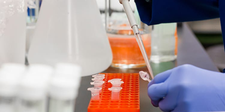 A laboratory with a person using a micropipette to take liquid from a flask, surrounded by test tubes and other scientific tools.
